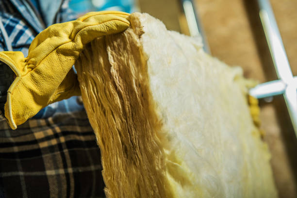 Best Local Insulation Services  in St John, KS
