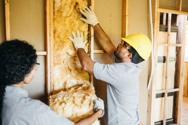 Best Spray Foam Insulation  in St John, KS