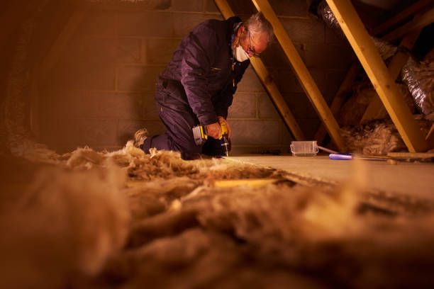 Best Insulation Inspection Services  in St John, KS